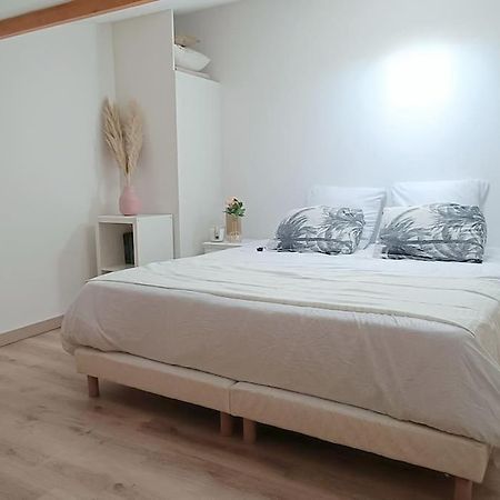 Loft En Centre Ville Perpignan Eksteriør billede